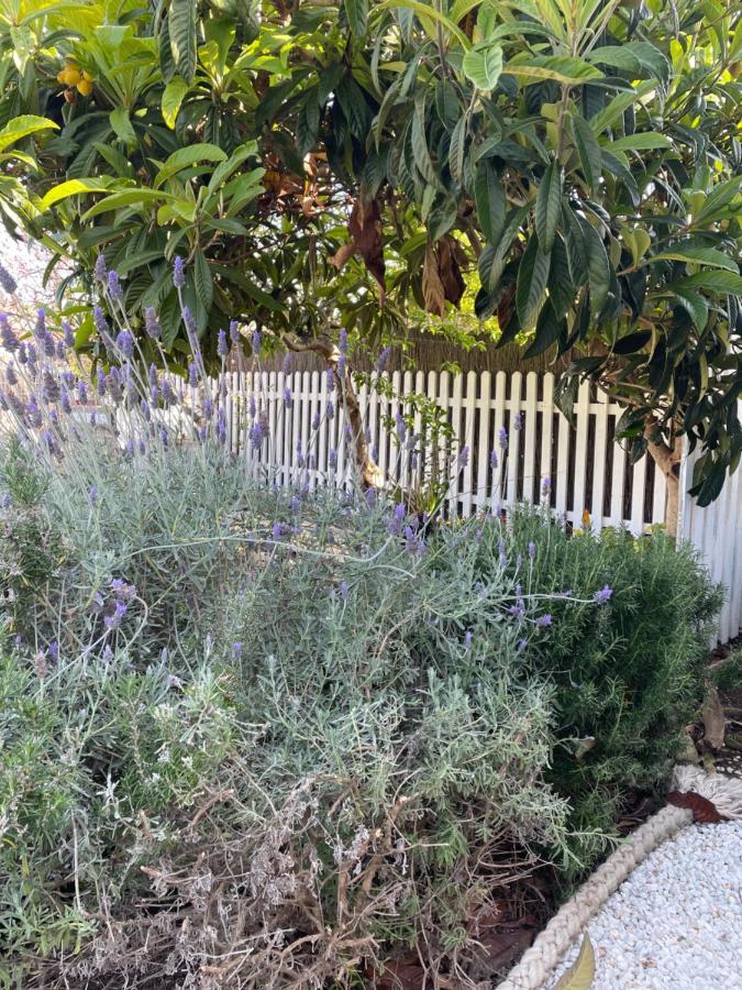 Ki Dragonfly Guesthouse Kingscote Exterior foto